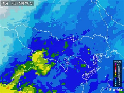 雷電雨|雷レーダー(予報)